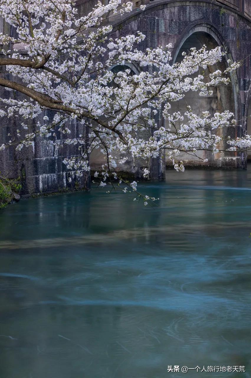 突然很想去看看,突然想去北京看看