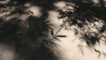 重庆轨道3号线,贵阳地铁3号线