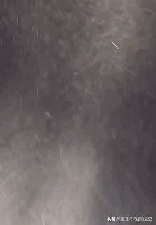 屋子老是有小毛毛,房子里老是有毛毛怎么回事