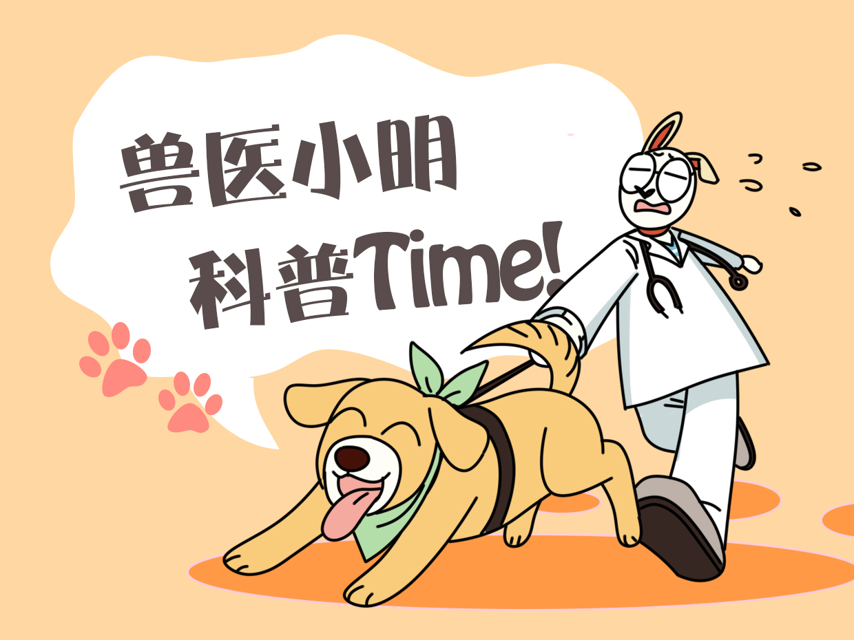 怎么用水帮兔子洗澡,打开水龙头继续洗澡