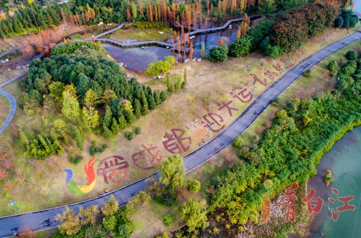 大运会会徽成都,成都大运会会徽图案