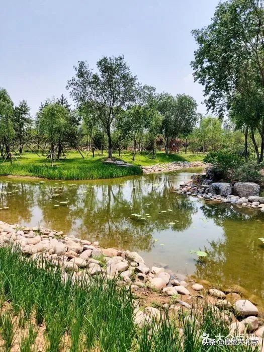 京城新增一“小江南”！免费人少