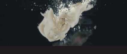 牛肚毛肚百叶黄喉的区别,牛肚百叶黄喉火锅