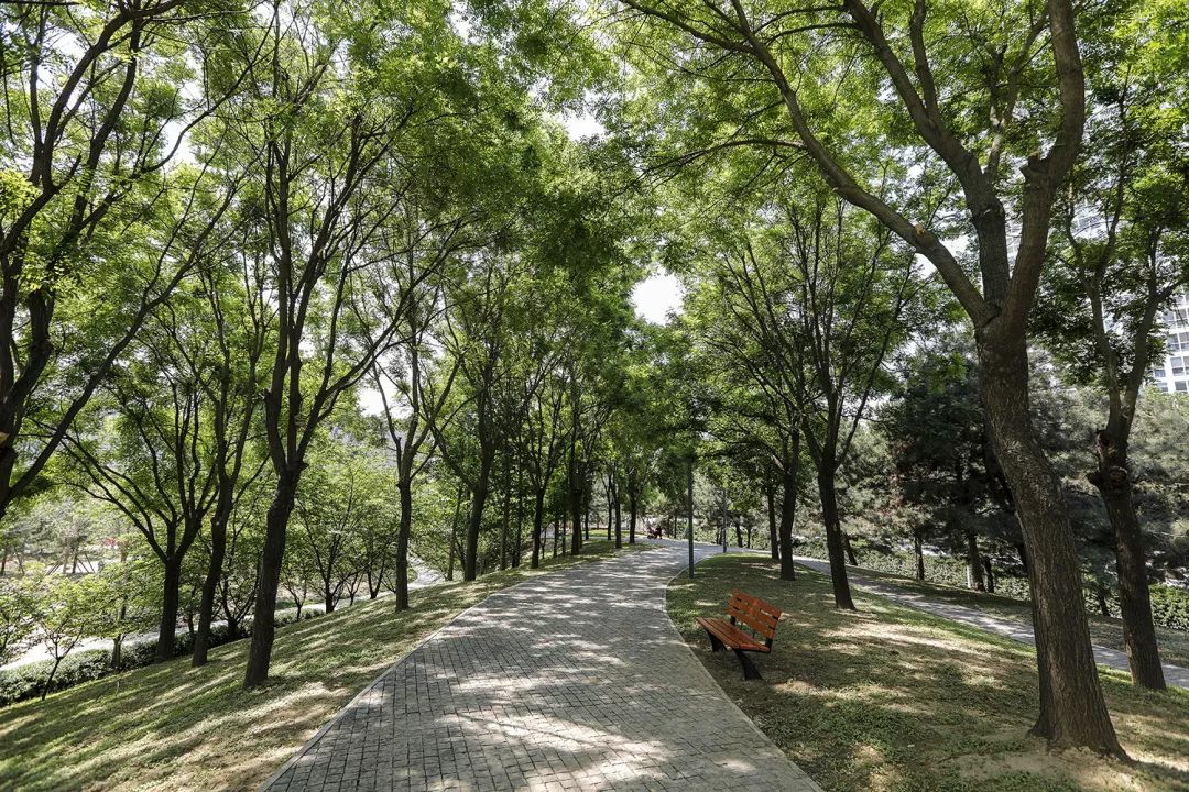 cbd白领生活,北京cbd白领下班回家