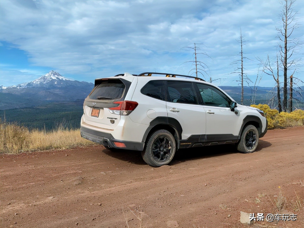 2020斯巴鲁森林人试驾评测,2019斯巴鲁森林人海外测评