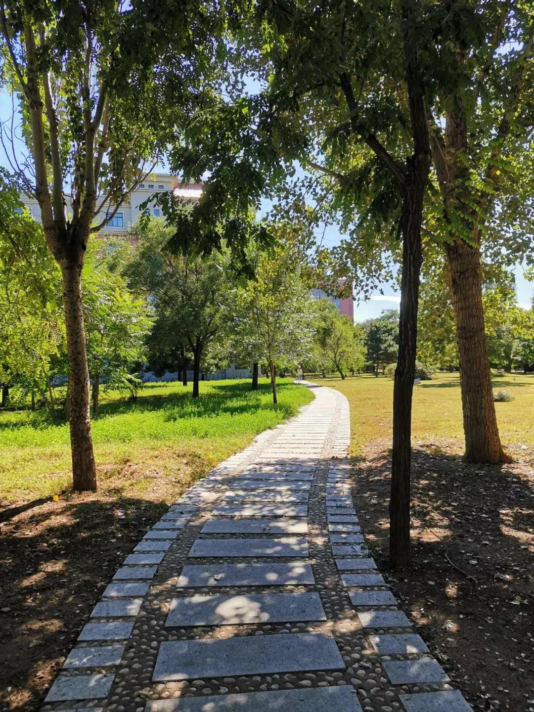 辽宁省普通高等院校(二十二)渤海大学