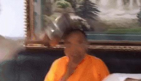 虽然她是在鄙视，不过我突然有了个大胆的想法