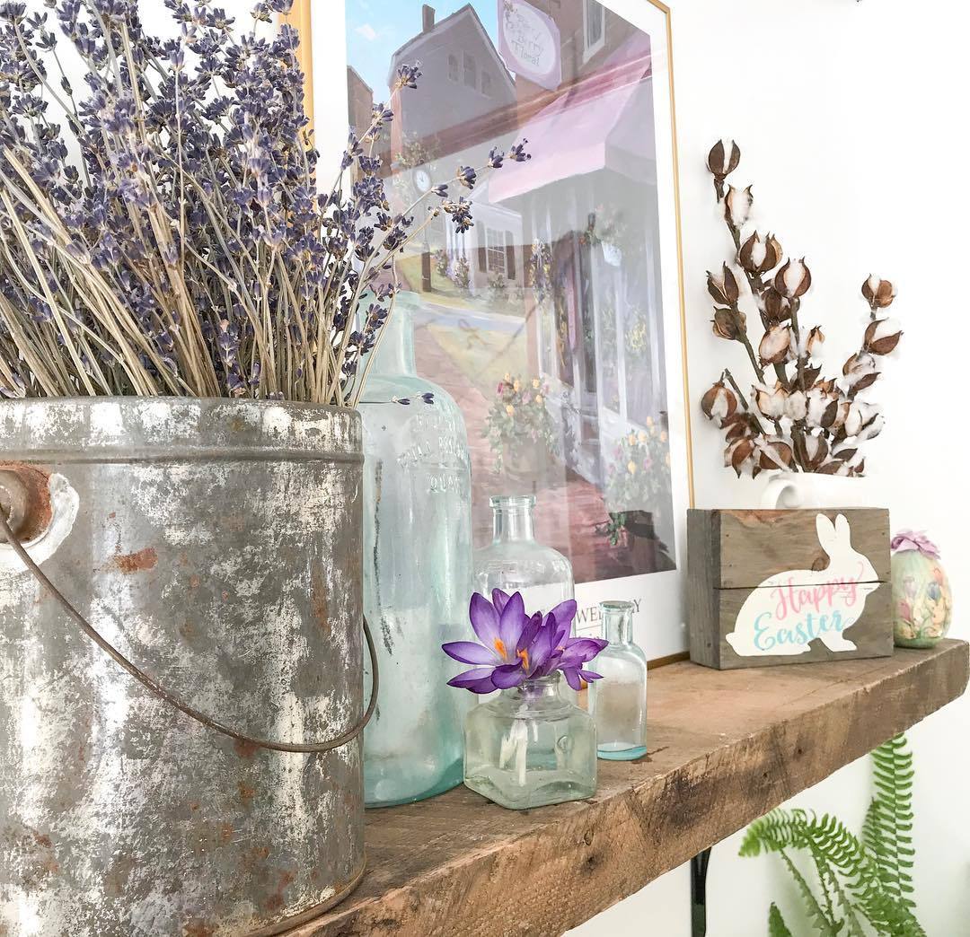 宝藏植物,植物薰衣草