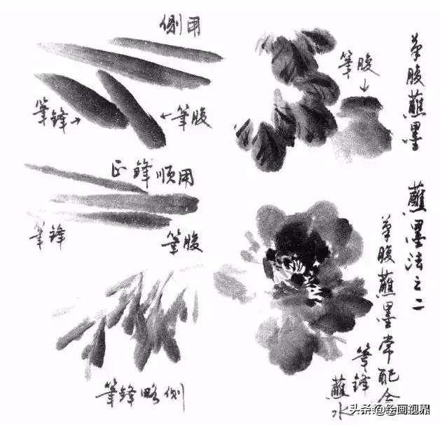 国画没有书法基础,国画没有基础最好先学哪些入手