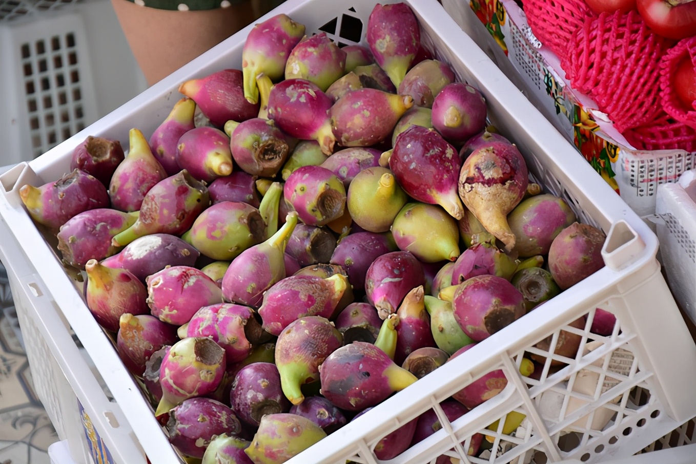 来三亚必吃的海南菜,三亚旅游在哪里吃海南菜