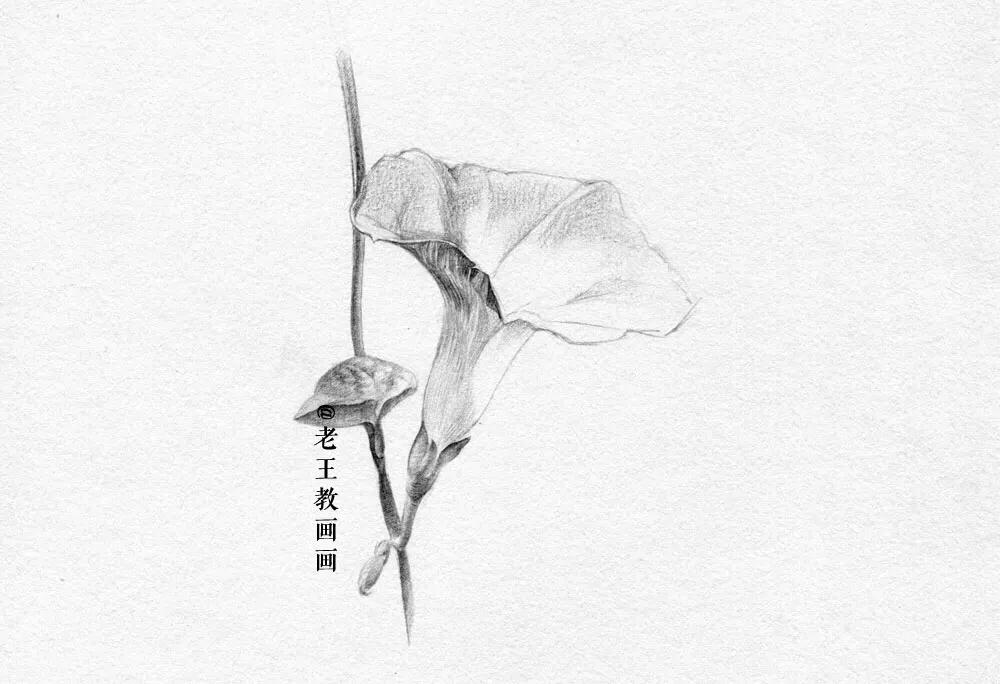 素描小白都在画什么,新手小白画素描人物