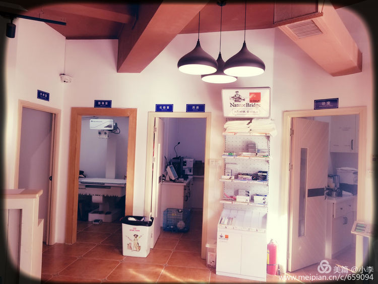 珠海宠物免费治疗,珠海哪里有宠物美容学校