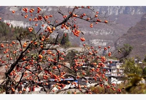 早安营口新闻,早安营口2019年5月16日