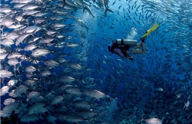适合蜜月旅游的地方,这些地方美到窒息不去后悔
