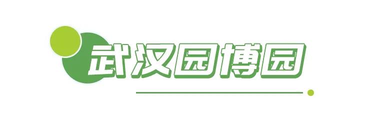 春光恰好清明小长假赏花指南,清明小长假花海