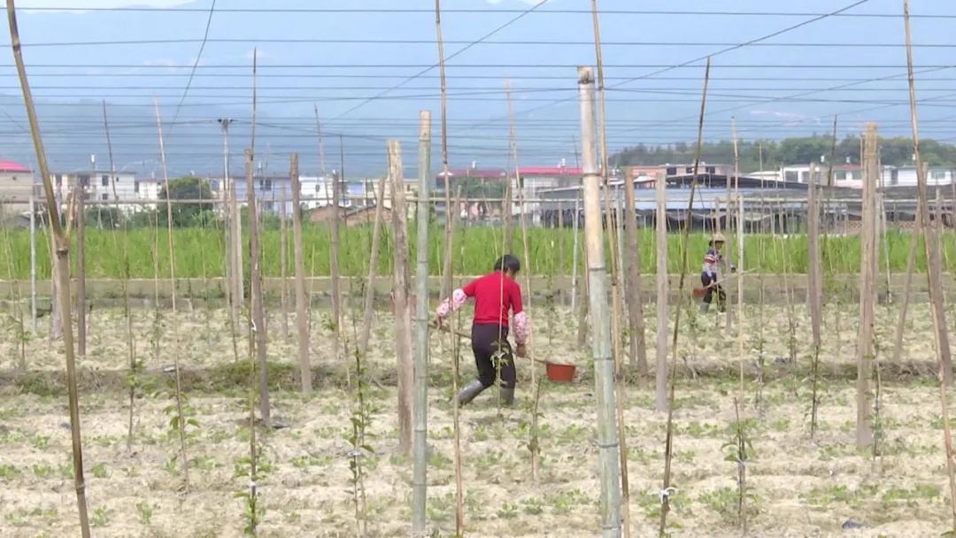 长泰发展最新消息,长泰经济快速发展