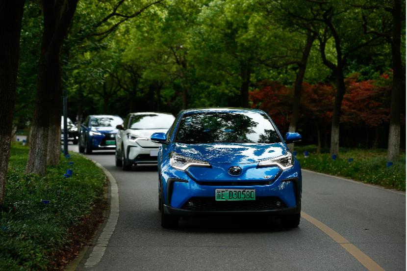 晓敏试驾丰田,晓敏试车