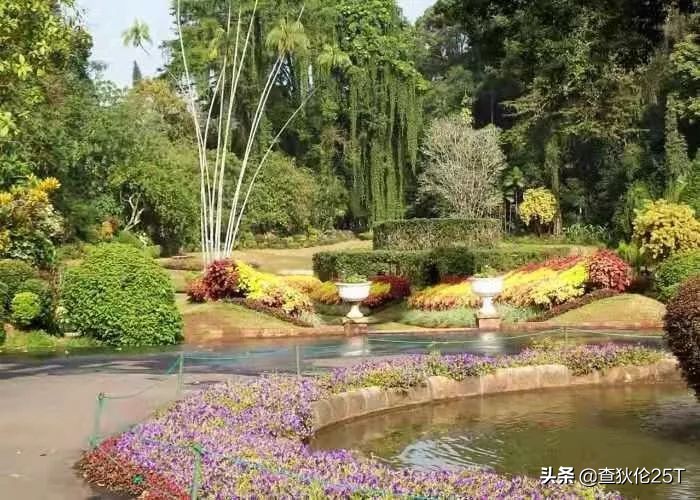 斯里兰卡努沃勒埃利耶打工靠谱吗,斯里兰卡努沃勒埃利耶