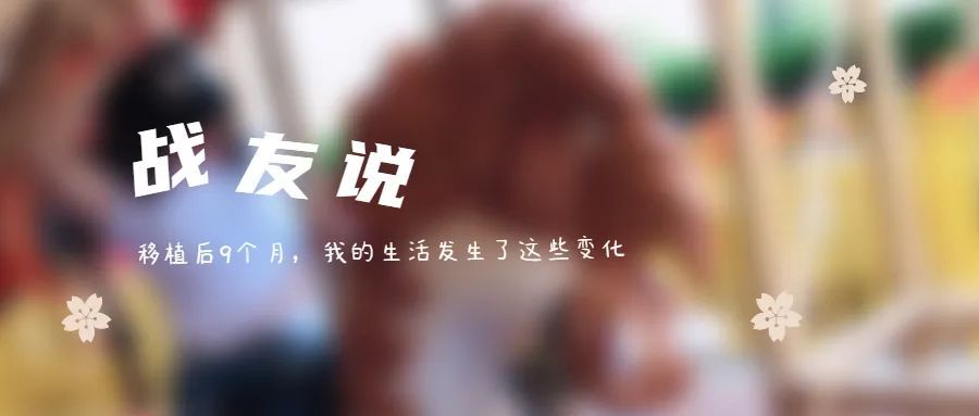 战友的故事分集剧情,战友故事连续剧