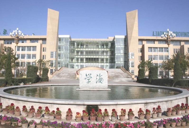 沈阳实力最强的小学,沈阳各区学区实力排行榜