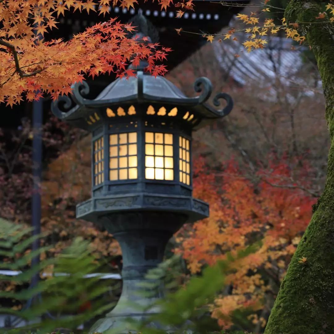 停车坐爱枫林晚风景,停车坐爱枫林晚季节
