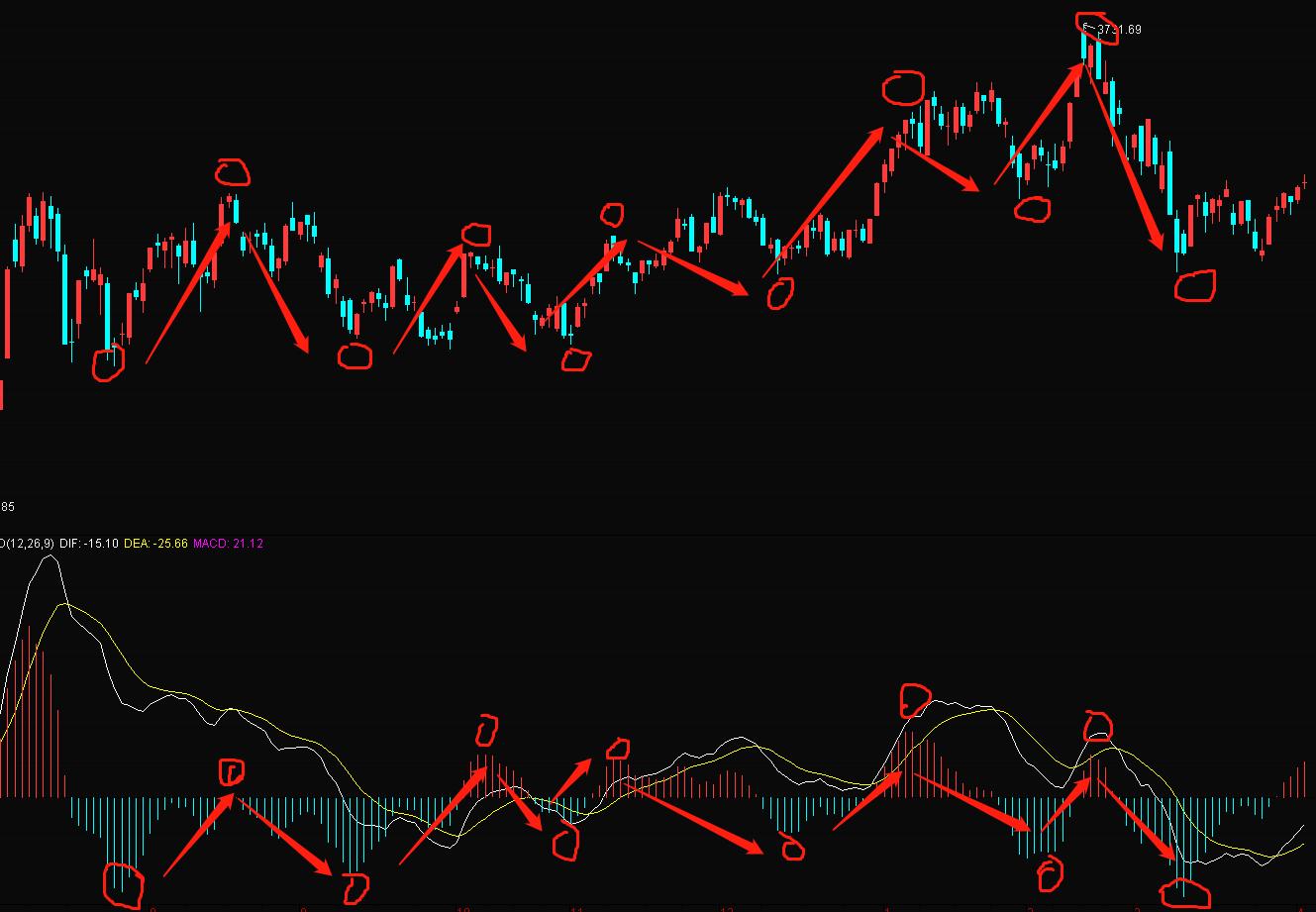 炒股入门初学者基础知识软件,炒股入门基础学习