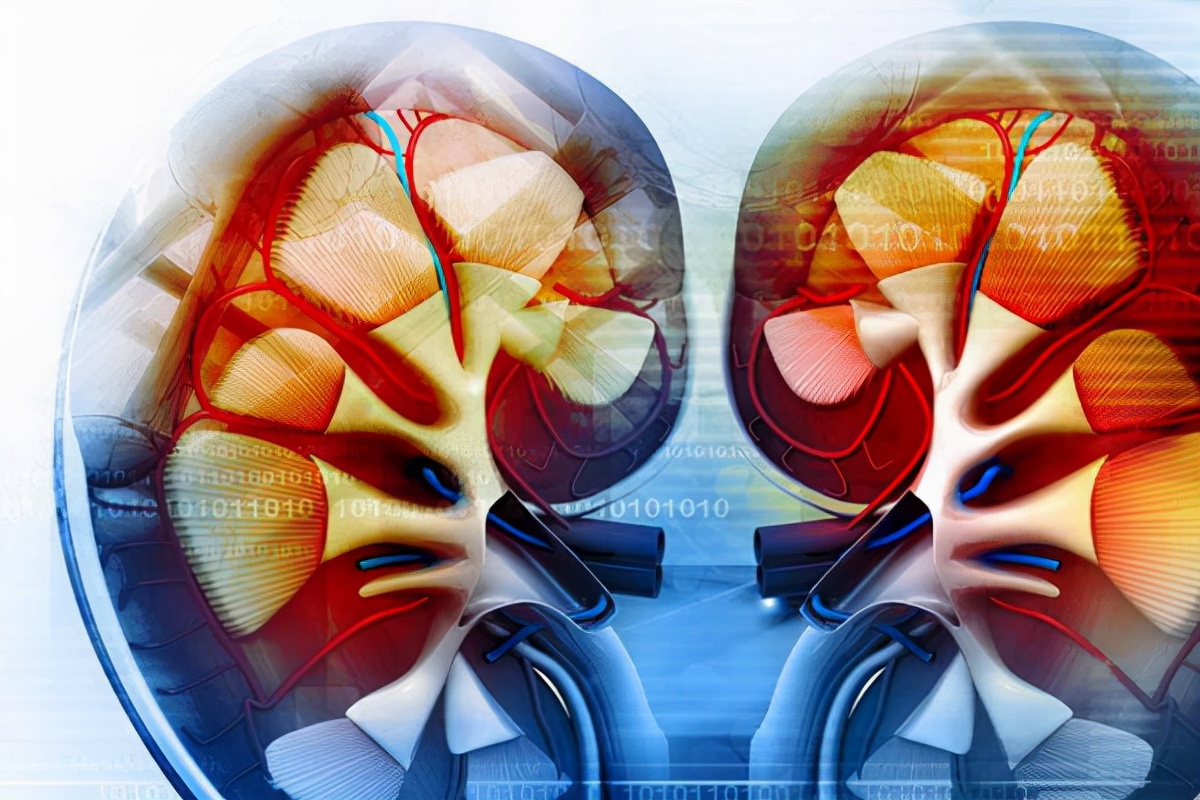 肾病综合征降尿蛋白的药,肾病综合征中医治疗如何降尿蛋白