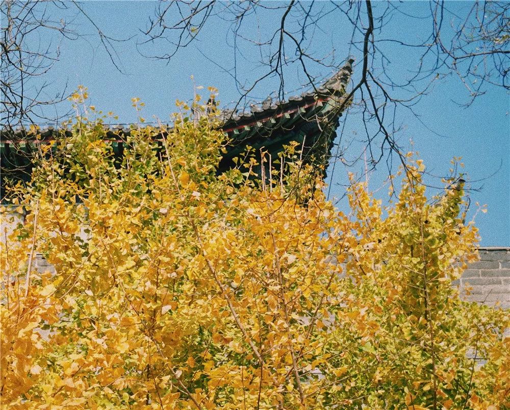 西安八月约会最佳地点,西安周末情侣最适合约会的地方