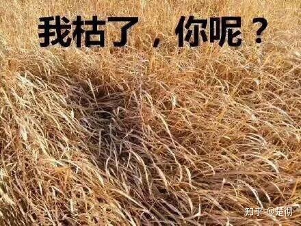 抽烟有什么好作用,抽烟的危害