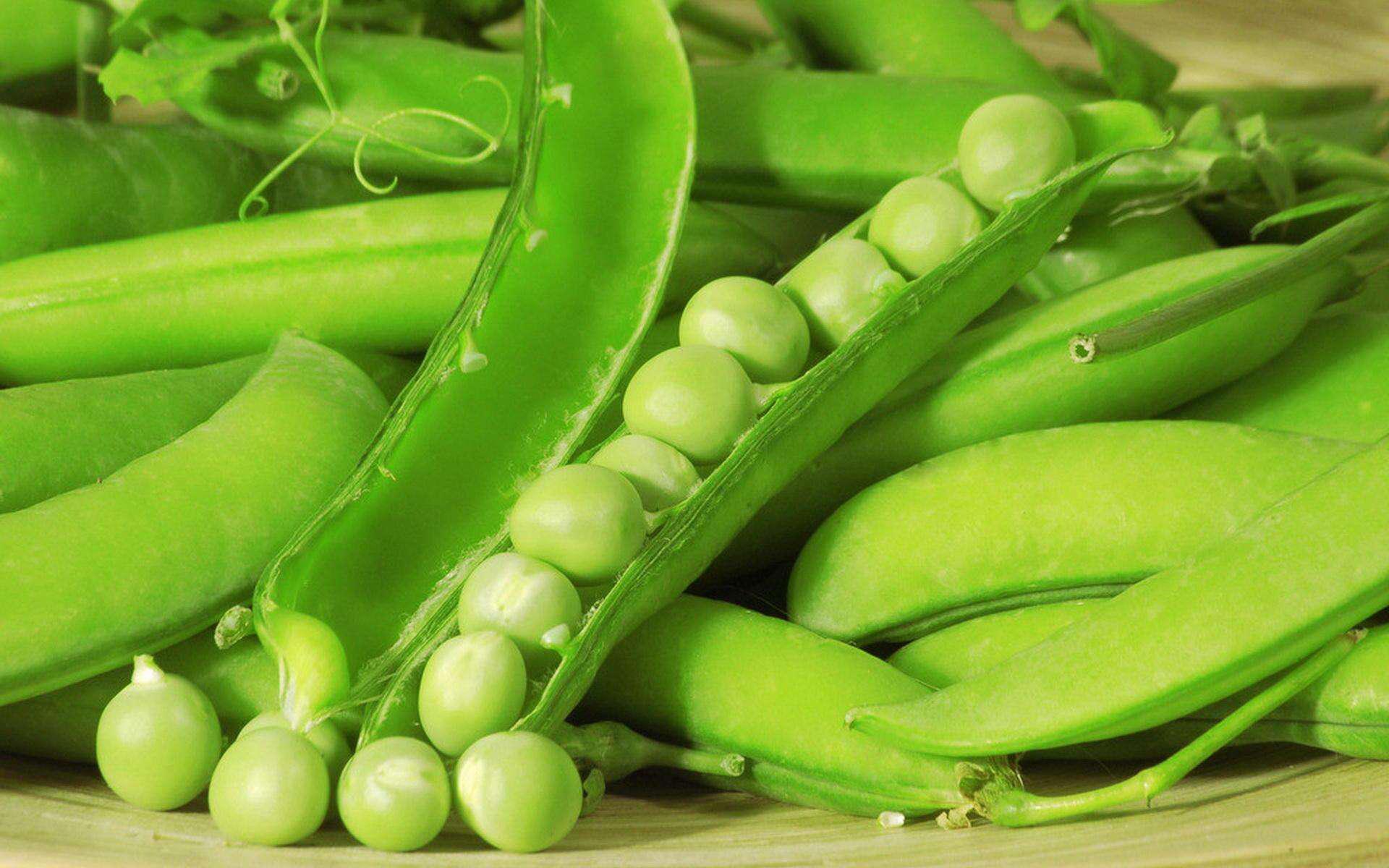 豌豆公主种植技术,豌豆公主的种植方法