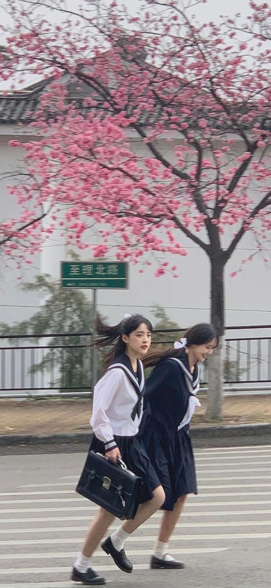 军人聊天背景图可爱女,聊天背景图可爱星黛露