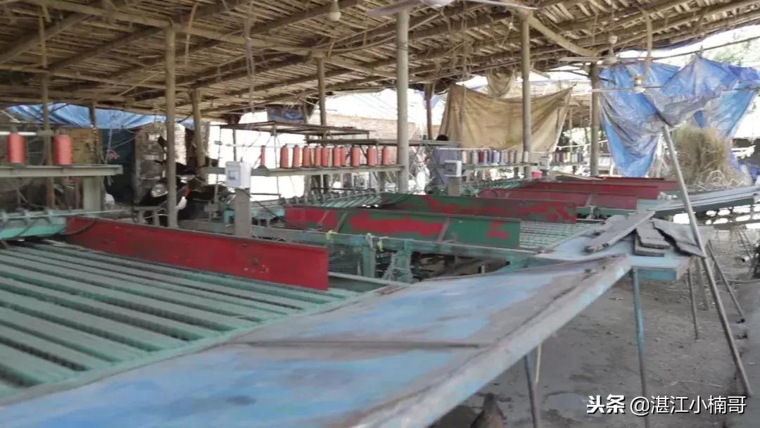 广东湛江革命村视频,湛江革命老区名单