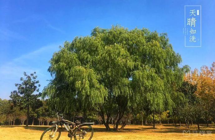 南京这些免费公园，让你任性玩个遍