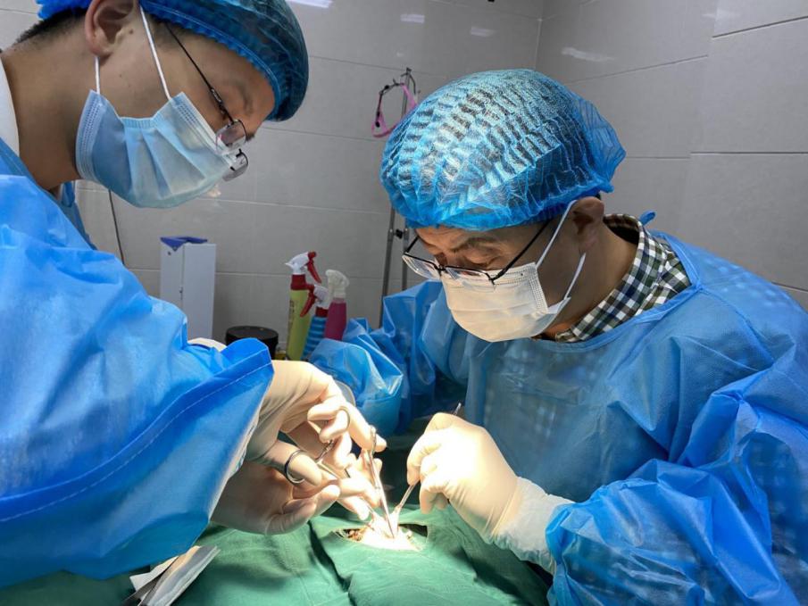 漳州瑞派宠物医院冠城分院,深圳瑞派宠物医院靠谱吗