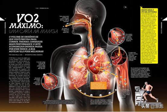 连续跑容易掉配速要怎么调整呢,如何确定自己的各种配速跑