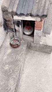 只能亮度调亮才能看得懂的梗,调高亮度才能看懂的梗