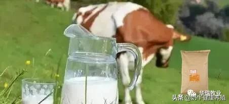 双乙酸钠可以提高乳脂率吗,双乙酸钠如何增加乳脂率