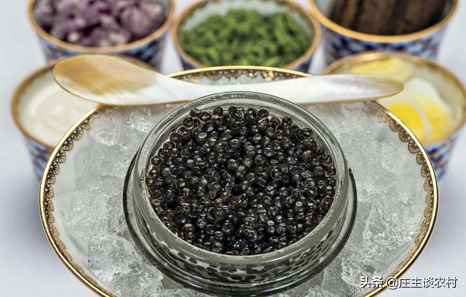 世界上最贵的三种食材,全球公认最贵顶级食材及价格