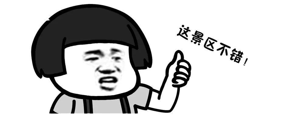 黄山风景区游客评价,三清山点评