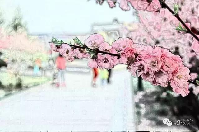 我叫勃利，这是我的个人名片