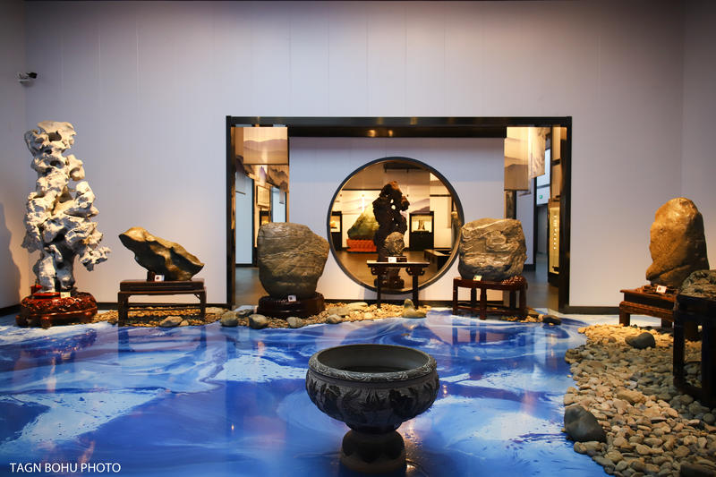 衢州飞越丛林探险乐园,浙江衢州深山