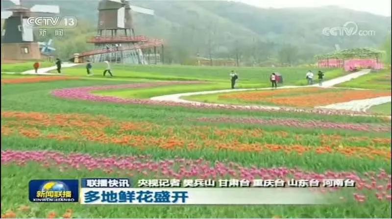 固始县西九华山风景区央视,河南固始九华山花千谷