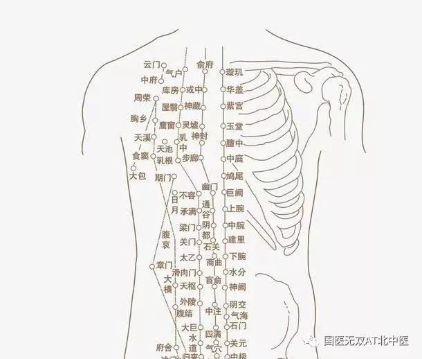 病毒当前不能慌穴位强肺助抵抗