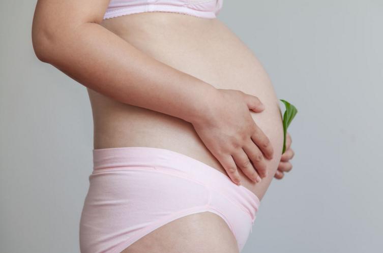 孕期营养素推荐,孕期所需营养素标准值