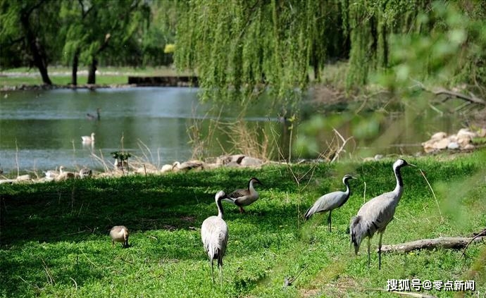亳州新发地农副产品批发市场,海东新发地农副产品批发市场