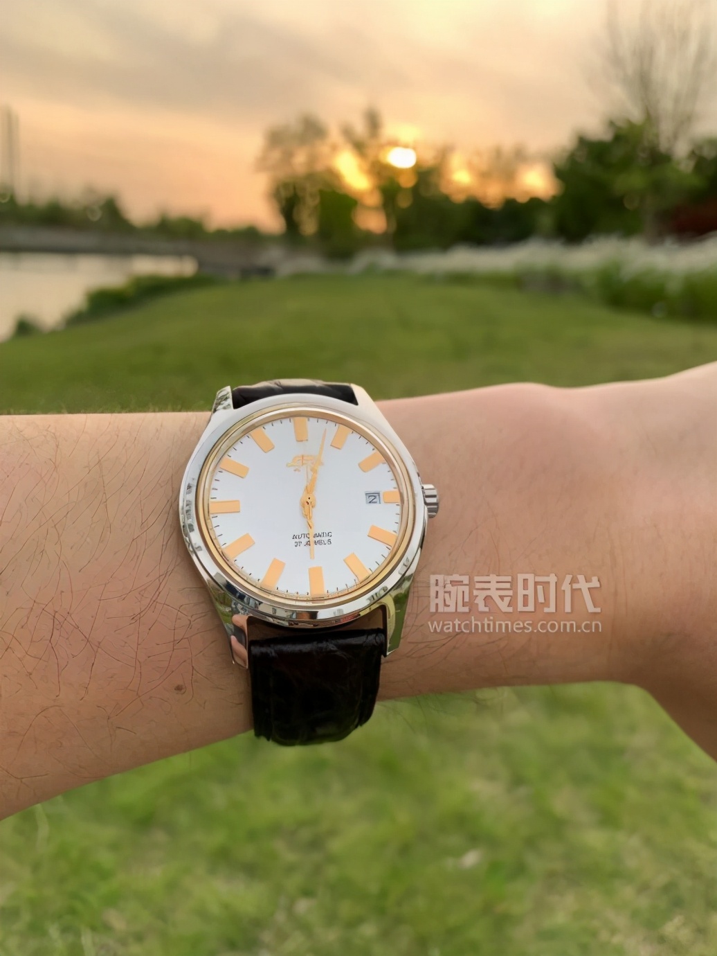 表圈大的名表图片,表圈奥斯卡有哪些表