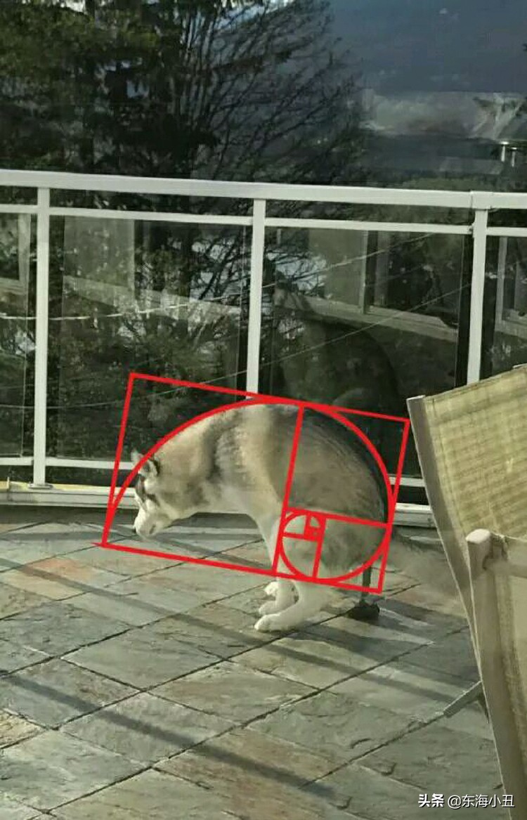 摄影中线条构图,摄影黄金分割理论