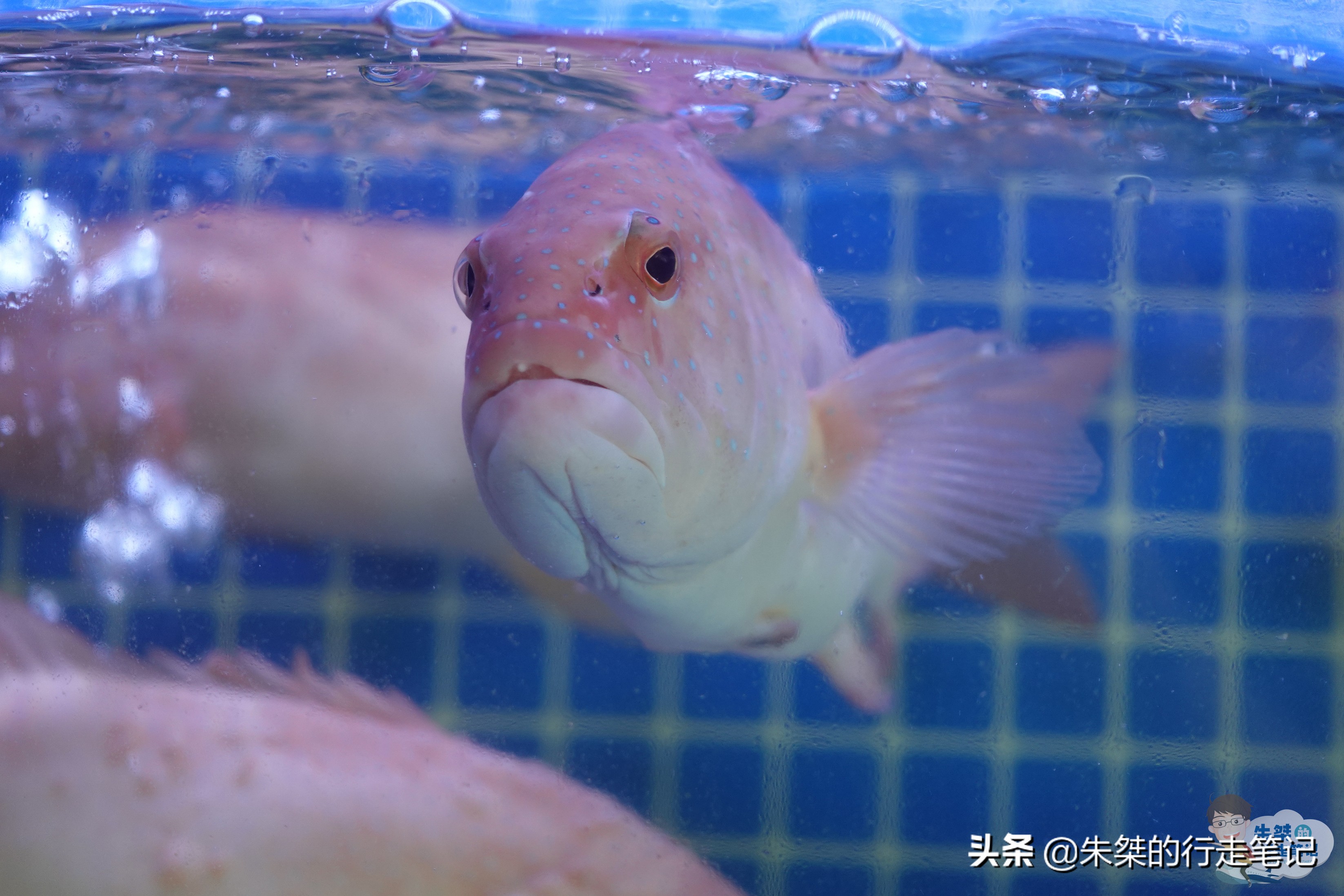 宁波超现代菜场,宁波最高档菜场