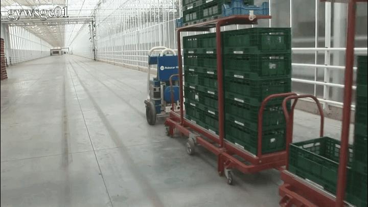 荷兰温室多少钱一平米,为什么玻璃温室荷兰都在用