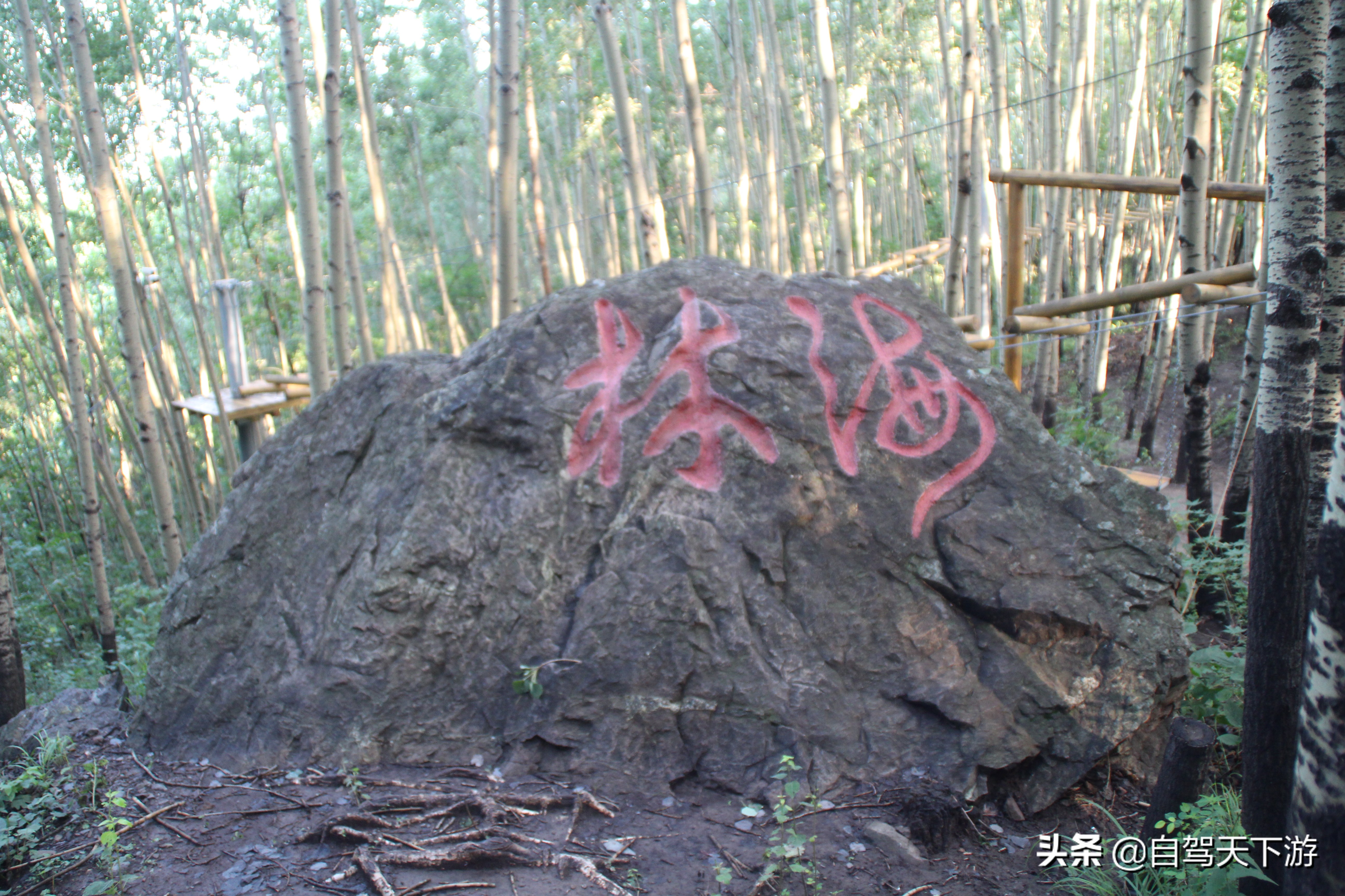 野三坡白草畔攻略,野三坡白草畔自驾游